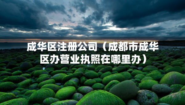 成華區(qū)注冊公司（成都市成華區(qū)辦營業(yè)執(zhí)照在哪里辦）