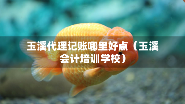 玉溪代理記賬哪里好點（玉溪會計培訓(xùn)學(xué)校）