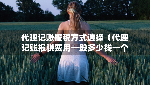 代理記賬報(bào)稅方式選擇（代理記賬報(bào)稅費(fèi)用一般多少錢一個(gè)月）