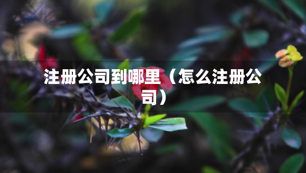 注冊公司到哪里（怎么注冊公司）