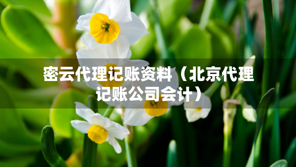 密云代理記賬資料（北京代理記賬公司會計）