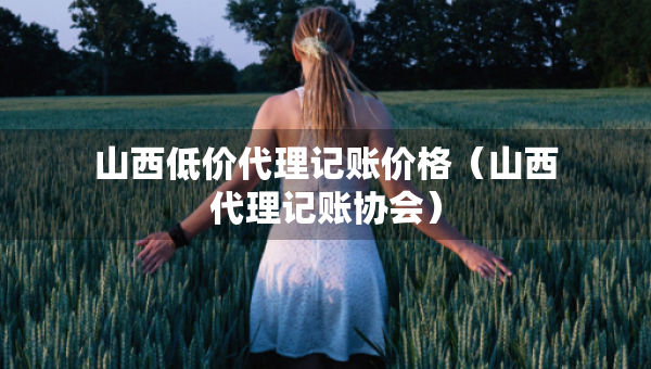 山西低價代理記賬價格（山西代理記賬協(xié)會）