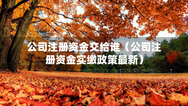 公司注冊資金交給誰（公司注冊資金實繳政策最新）