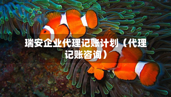 瑞安企業(yè)代理記賬計劃（代理記賬咨詢）