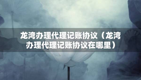 龍灣辦理代理記賬協(xié)議（龍灣辦理代理記賬協(xié)議在哪里）