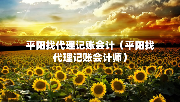 平陽找代理記賬會計（平陽找代理記賬會計師）