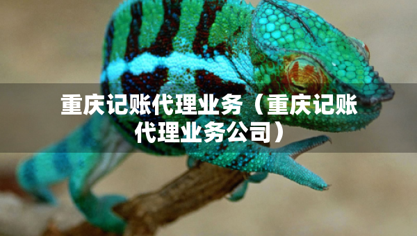 重慶記賬代理業(yè)務(wù)（重慶記賬代理業(yè)務(wù)公司）