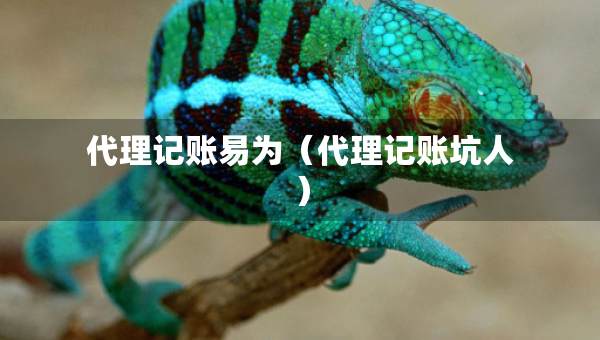 代理記賬易為（代理記賬坑人）