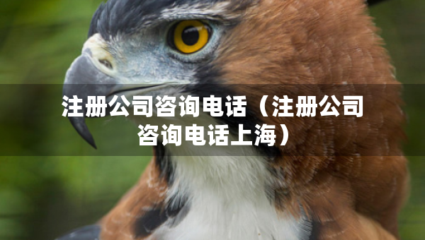 注冊(cè)公司咨詢電話（注冊(cè)公司咨詢電話上海）