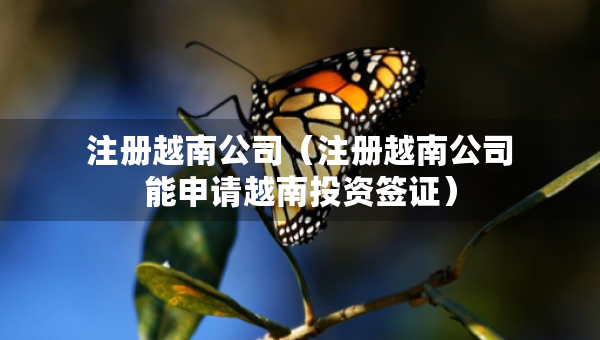 注冊越南公司（注冊越南公司能申請越南投資簽證）