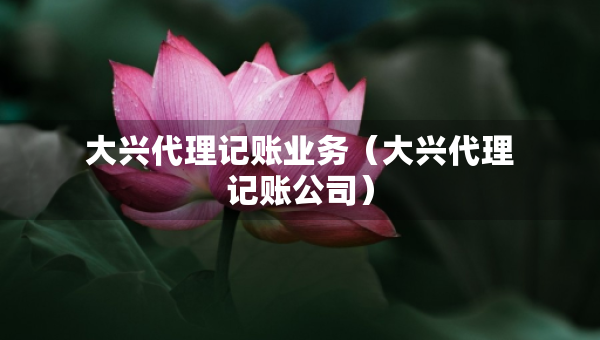大興代理記賬業(yè)務(wù)（大興代理記賬公司）