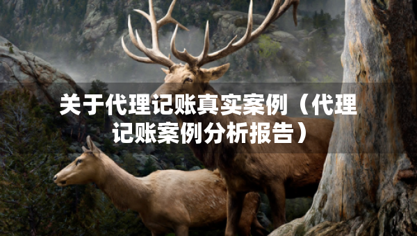 關于代理記賬真實案例（代理記賬案例分析報告）
