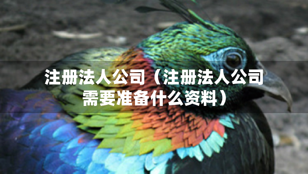 注冊法人公司（注冊法人公司需要準(zhǔn)備什么資料）