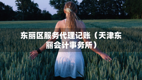 東麗區(qū)服務代理記賬（天津東麗會計事務所）