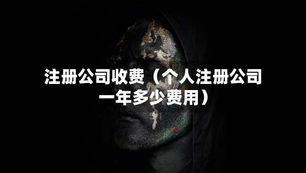 注冊公司收費（個人注冊公司一年多少費用）