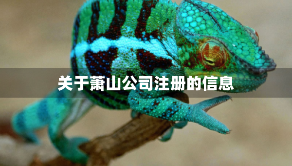 關于蕭山公司注冊的信息