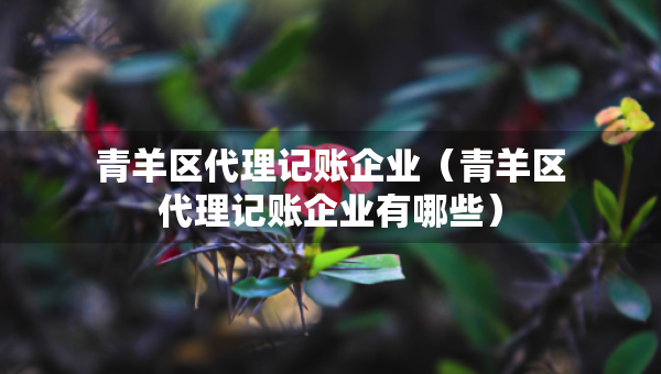 青羊區(qū)代理記賬企業(yè)（青羊區(qū)代理記賬企業(yè)有哪些）