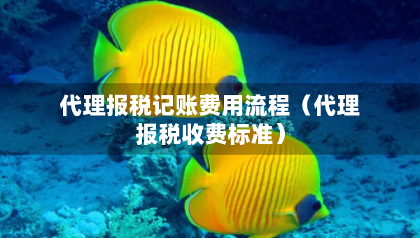 代理報(bào)稅記賬費(fèi)用流程（代理報(bào)稅收費(fèi)標(biāo)準(zhǔn)）