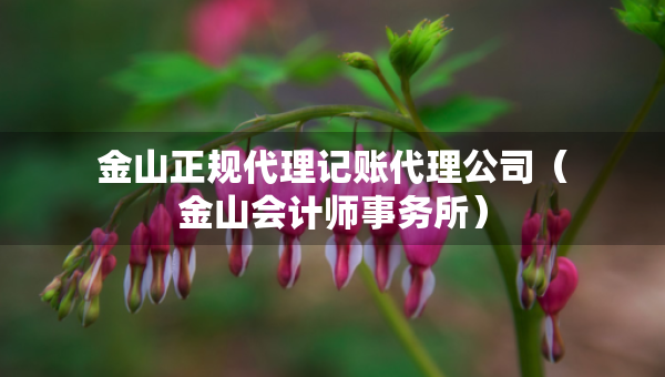 金山正規(guī)代理記賬代理公司（金山會計師事務(wù)所）