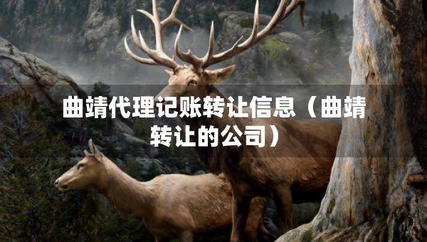 曲靖代理記賬轉(zhuǎn)讓信息（曲靖轉(zhuǎn)讓的公司）