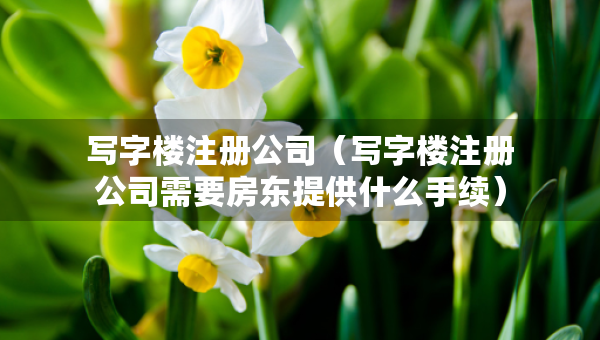 寫字樓注冊公司（寫字樓注冊公司需要房東提供什么手續(xù)）