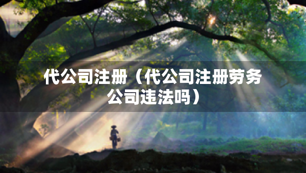 代公司注冊(cè)（代公司注冊(cè)勞務(wù)公司違法嗎）