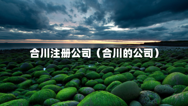合川注冊公司（合川的公司）