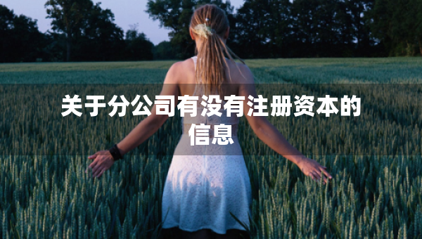 關(guān)于分公司有沒有注冊(cè)資本的信息