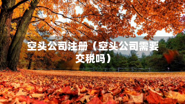 空頭公司注冊(cè)（空頭公司需要交稅嗎）