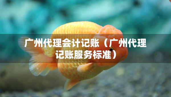 廣州代理會(huì)計(jì)記賬（廣州代理記賬服務(wù)標(biāo)準(zhǔn)）