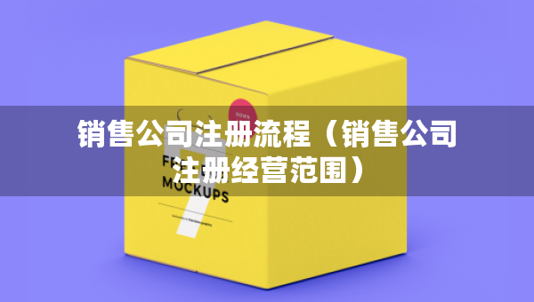 銷售公司注冊流程（銷售公司注冊經(jīng)營范圍）
