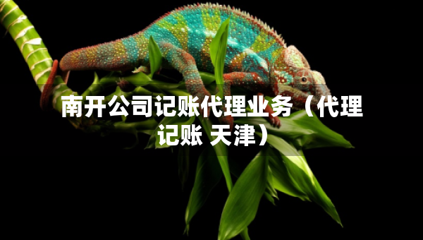 南開(kāi)公司記賬代理業(yè)務(wù)（代理記賬 天津）