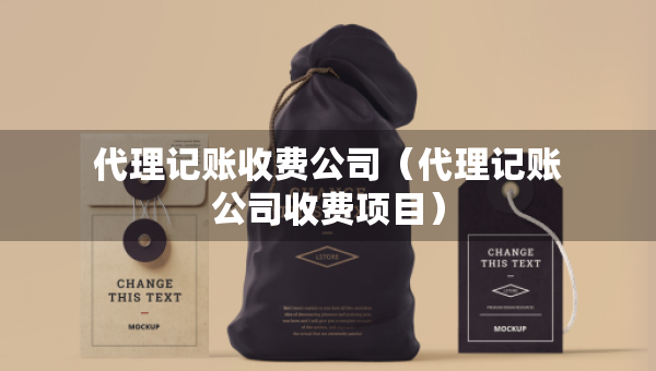 代理記賬收費(fèi)公司（代理記賬公司收費(fèi)項(xiàng)目）