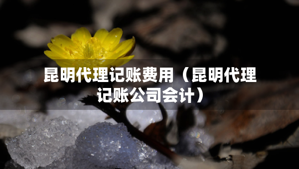 昆明代理記賬費用（昆明代理記賬公司會計）