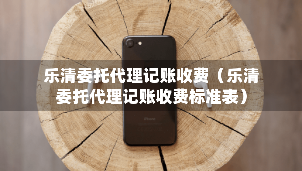 樂清委托代理記賬收費（樂清委托代理記賬收費標準表）