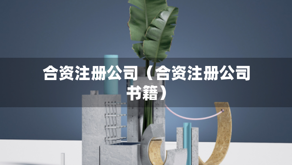 合資注冊公司（合資注冊公司書籍）