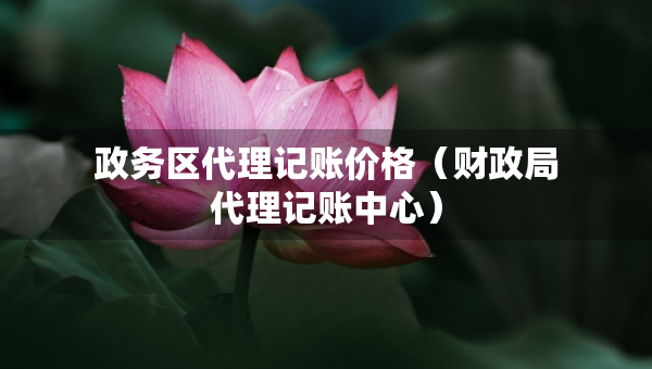 政務(wù)區(qū)代理記賬價(jià)格（財(cái)政局代理記賬中心）