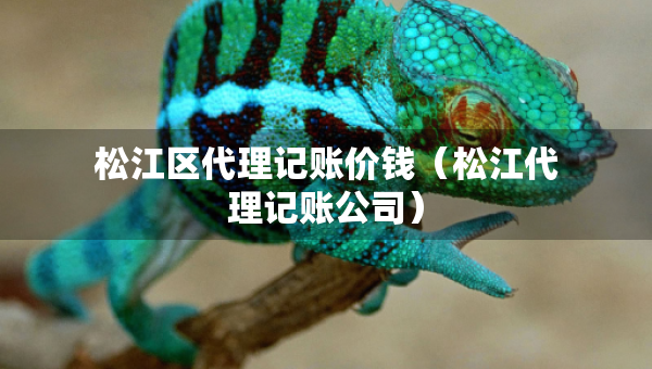 松江區(qū)代理記賬價錢（松江代理記賬公司）
