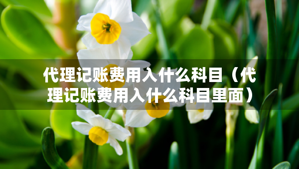 代理記賬費用入什么科目（代理記賬費用入什么科目里面）