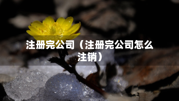 注冊(cè)完公司（注冊(cè)完公司怎么注銷）