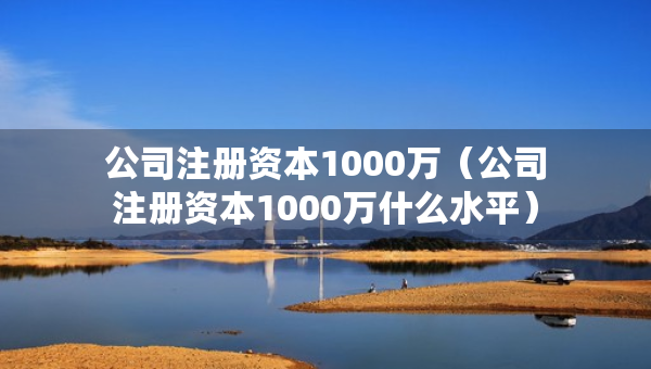 公司注冊資本1000萬（公司注冊資本1000萬什么水平）