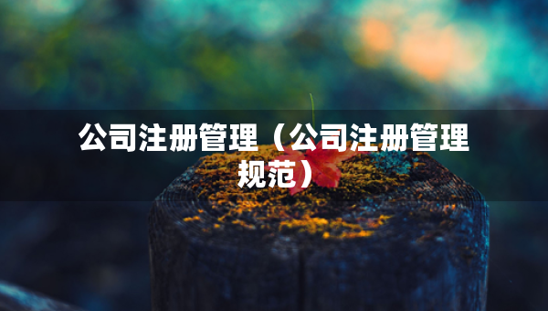 公司注冊(cè)管理（公司注冊(cè)管理規(guī)范）
