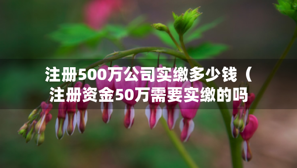 注冊500萬公司實繳多少錢（注冊資金50萬需要實繳的嗎）