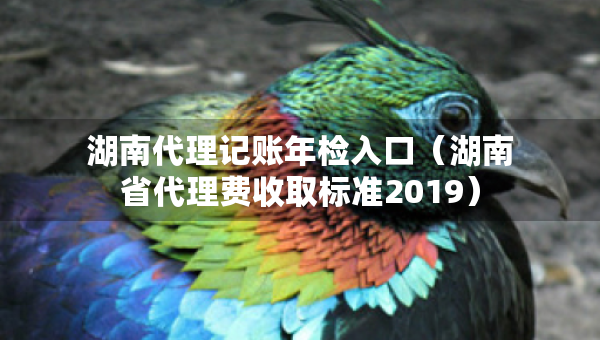 湖南代理記賬年檢入口（湖南省代理費收取標準2019）