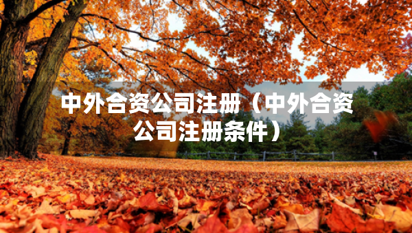 中外合資公司注冊(cè)（中外合資公司注冊(cè)條件）