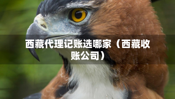 西藏代理記賬選哪家（西藏收賬公司）