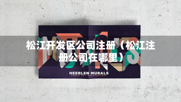 松江開發(fā)區(qū)公司注冊(cè)（松江注冊(cè)公司在哪里）
