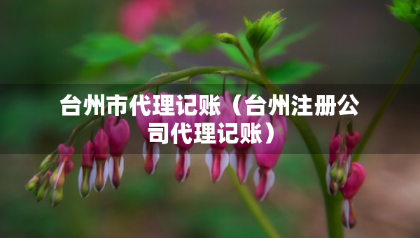 臺州市代理記賬（臺州注冊公司代理記賬）