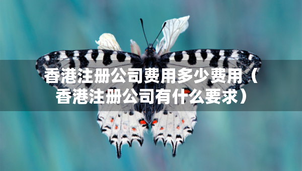 香港注冊(cè)公司費(fèi)用多少費(fèi)用（香港注冊(cè)公司有什么要求）
