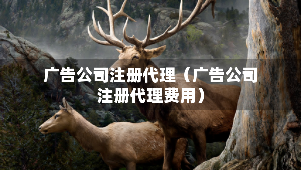廣告公司注冊代理（廣告公司注冊代理費用）